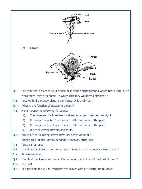 A2ZWorksheets:Science-Plants and Living Organisms-Getting To Know Plants-01