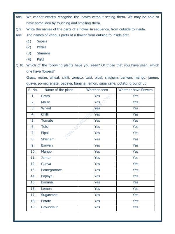 A2ZWorksheets:Science-Plants and Living Organisms-Getting To Know Plants-01