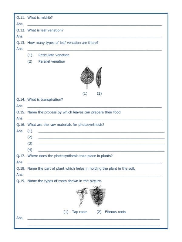 A2ZWorksheets:Science-Plants and Living Organisms-Getting To Know Plants-02