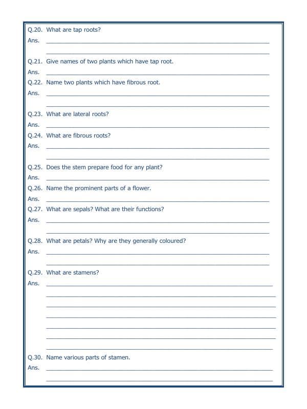 A2ZWorksheets:Science-Plants and Living Organisms-Getting To Know Plants-02