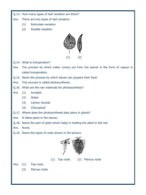 A2ZWorksheets:Science-Plants and Living Organisms-Getting To Know Plants-02