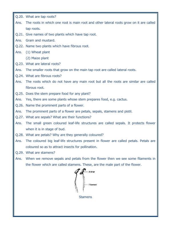 A2ZWorksheets:Science-Plants and Living Organisms-Getting To Know Plants-02