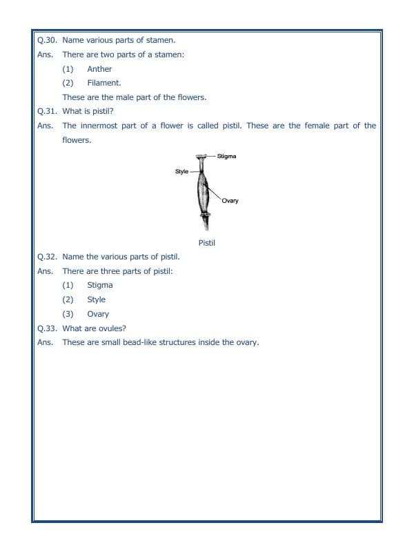 A2ZWorksheets:Science-Plants and Living Organisms-Getting To Know Plants-02