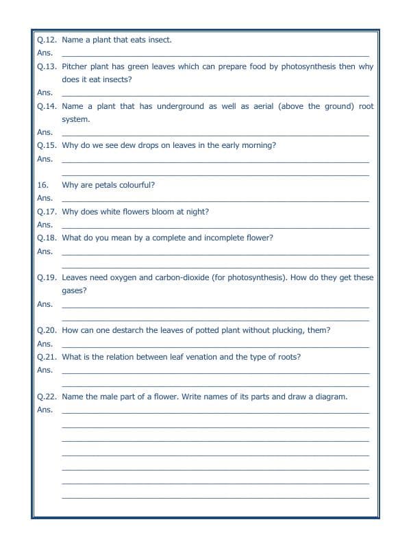 A2ZWorksheets:Science-Plants and Living Organisms-Getting To Know Plants-03