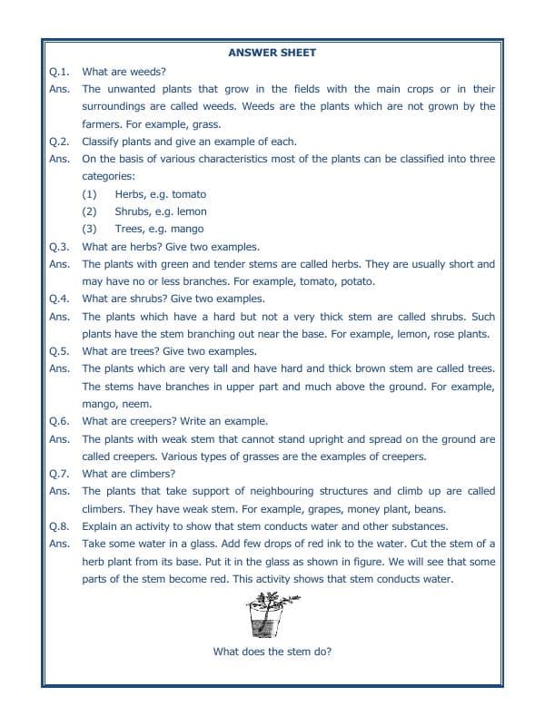 A2ZWorksheets:Science-Plants and Living Organisms-Getting To Know Plants-03