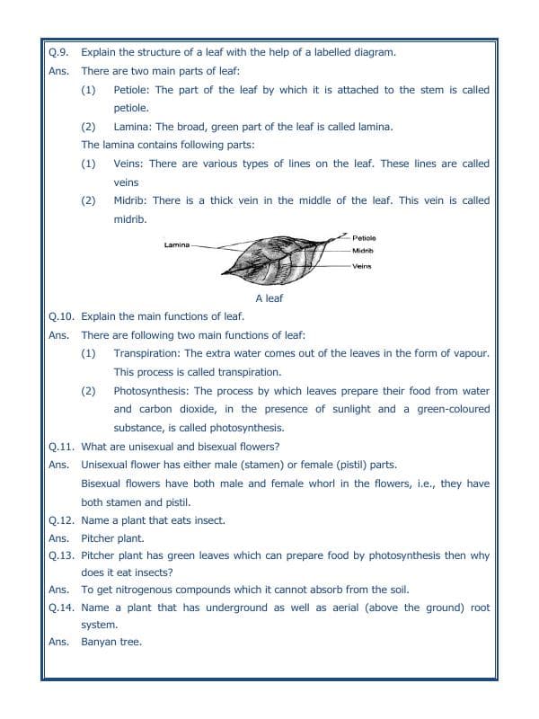 A2ZWorksheets:Science-Plants and Living Organisms-Getting To Know Plants-03