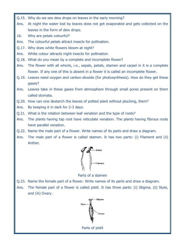 A2ZWorksheets:Science-Plants and Living Organisms-Getting To Know Plants-03