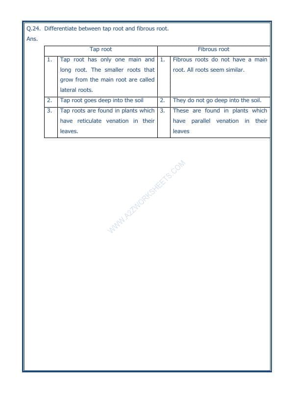 A2ZWorksheets:Science-Plants and Living Organisms-Getting To Know Plants-03