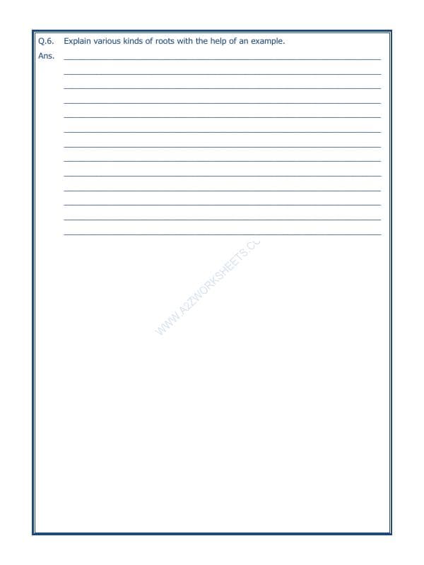 A2ZWorksheets:Science-Plants and Living Organisms-Getting To Know Plants-04
