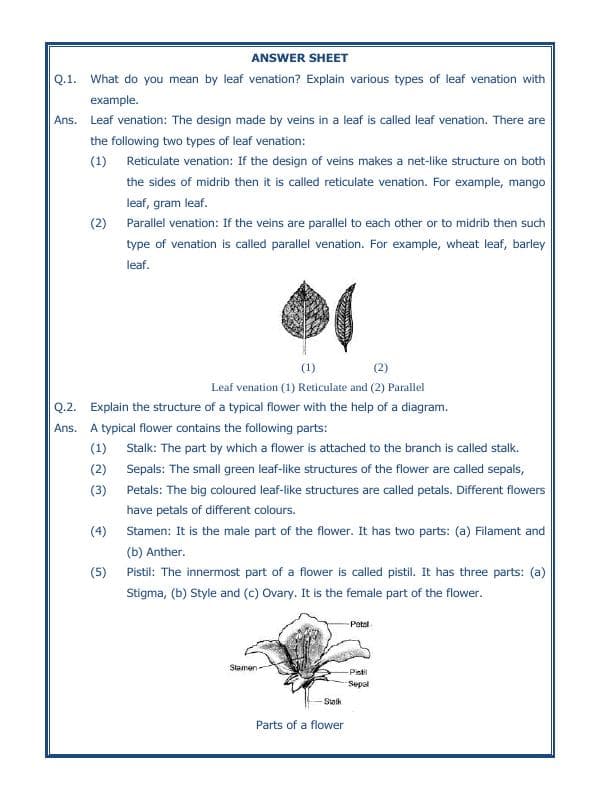 A2ZWorksheets:Science-Plants and Living Organisms-Getting To Know Plants-04