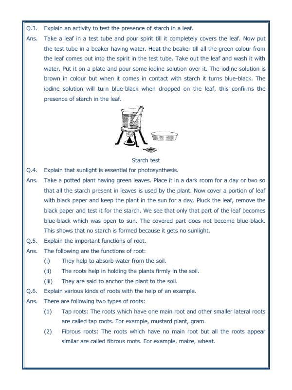A2ZWorksheets:Science-Plants and Living Organisms-Getting To Know Plants-04