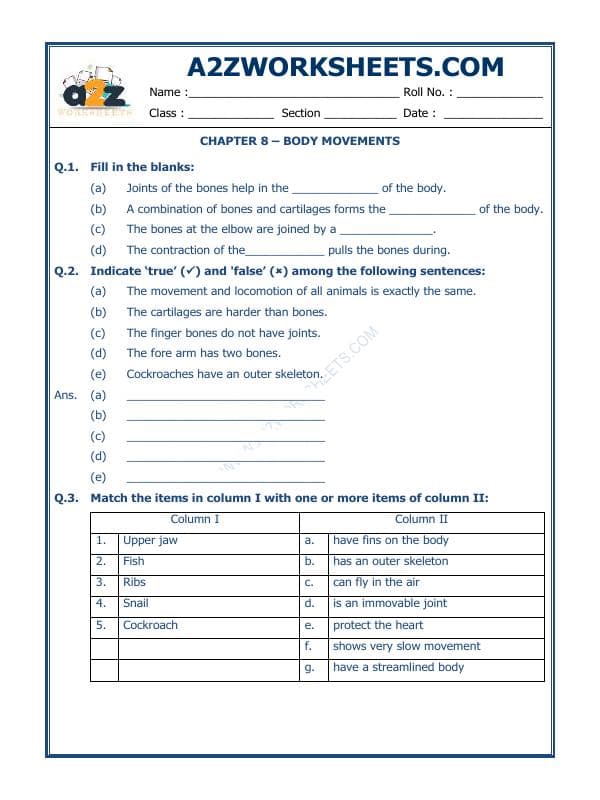 A2ZWorksheets:Science-Humans-Body Movements-01