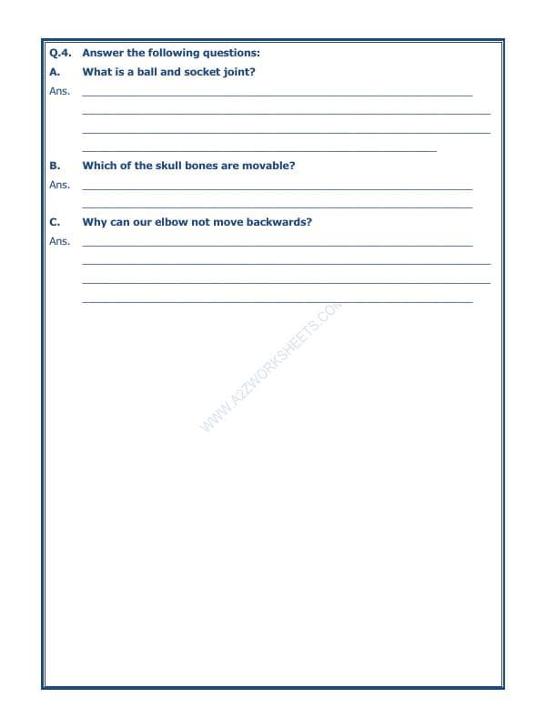 A2ZWorksheets:Science-Humans-Body Movements-01
