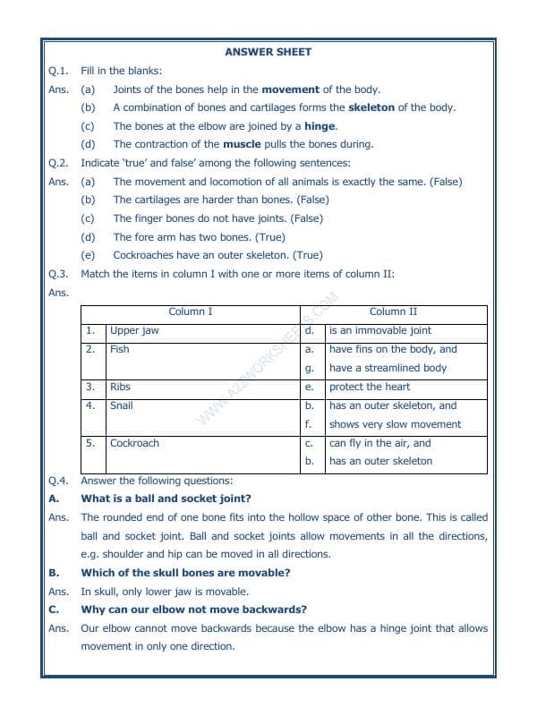 A2ZWorksheets:Science-Humans-Body Movements-01
