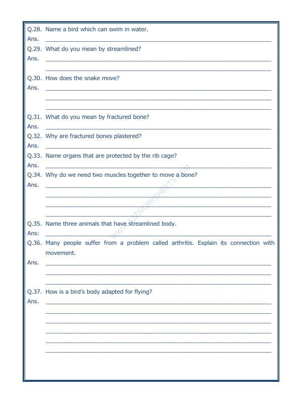 A2ZWorksheets:Science-Humans-Body Movements-02