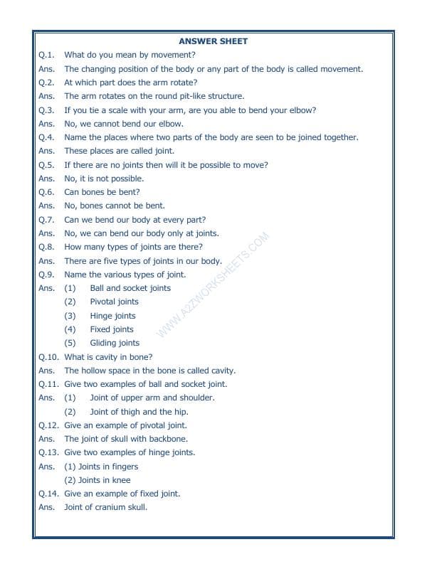 A2ZWorksheets:Science-Humans-Body Movements-02