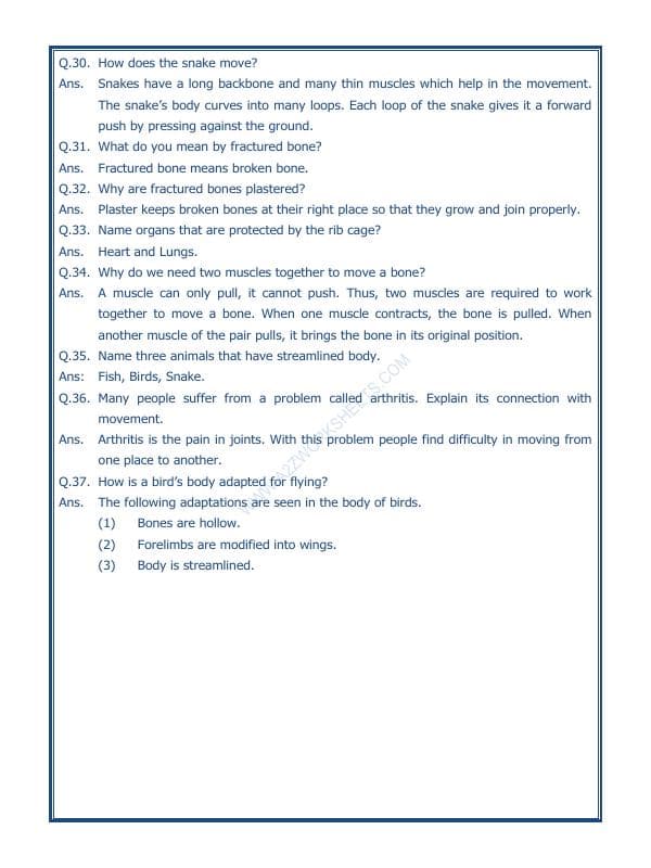 A2ZWorksheets:Science-Humans-Body Movements-02