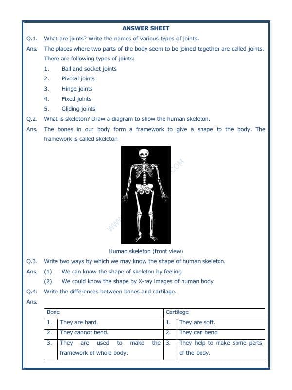 A2ZWorksheets:Science-Humans-Body Movements-03