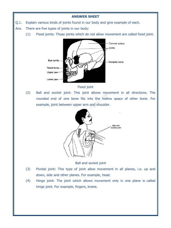 A2ZWorksheets:Science-Humans-Body Movements-04