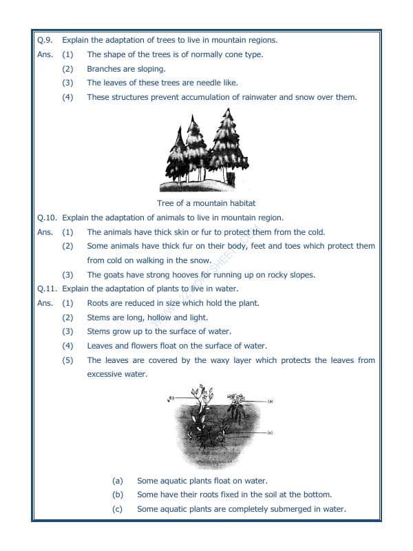 A2ZWorksheets:Science-Environment And Our Surroundings-The Living Organisms And Their Surroundings-02
