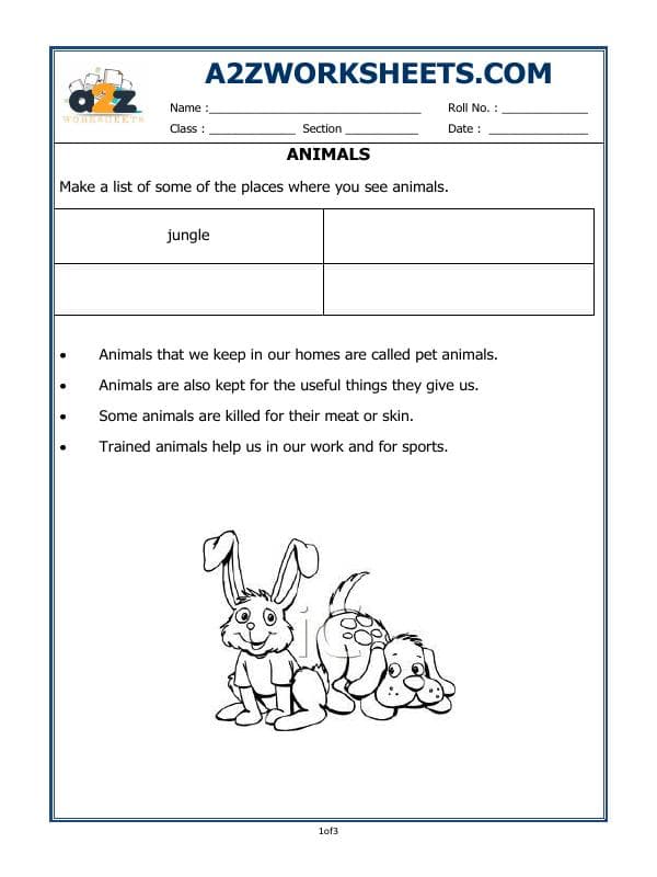Animals