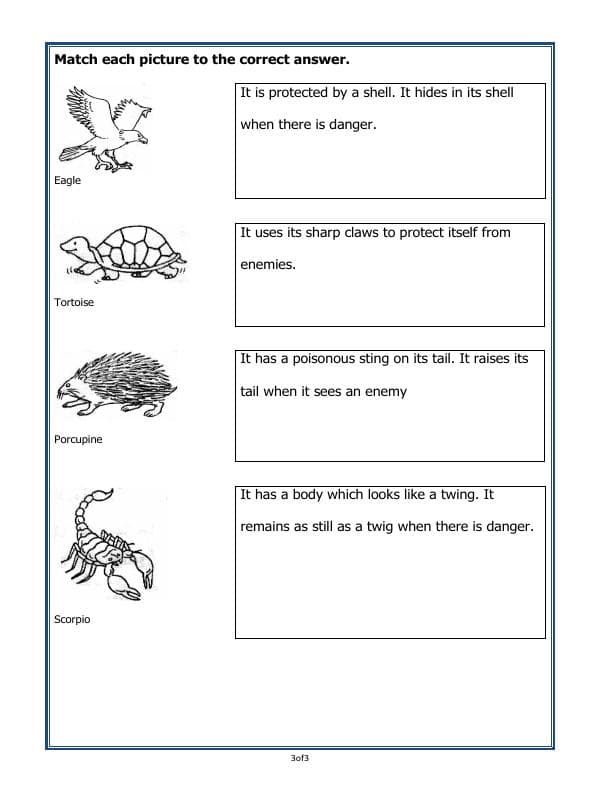 A2ZWorksheets:Science-Animals-Animals