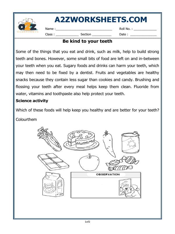 A2ZWorksheets:Science-Humans-Teeth