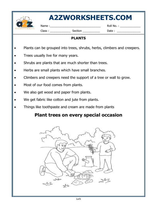 A2ZWorksheets:Science-Plants and Living Organisms-Plants