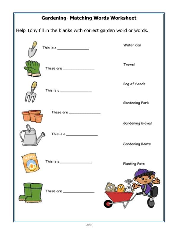 A2ZWorksheets:Science-Plants and Living Organisms-Plants
