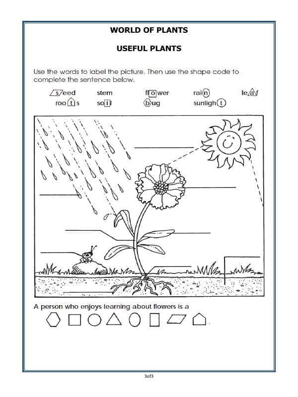 A2ZWorksheets:Science-Plants and Living Organisms-Plants