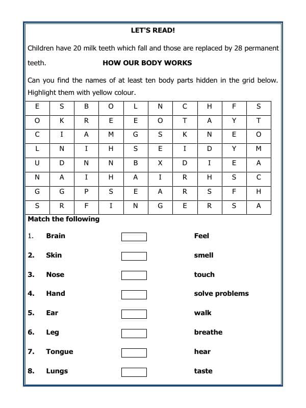 A2ZWorksheets:Science-Humans-Sense Organs