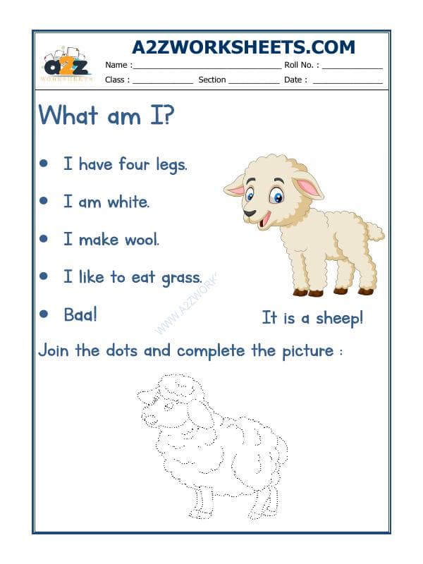 Flash Card-Sheep