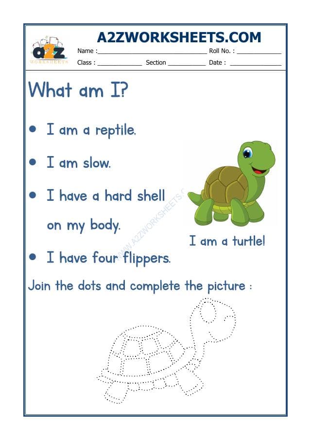A2ZWorksheets:English-Recognition-Flash Card-Turtle