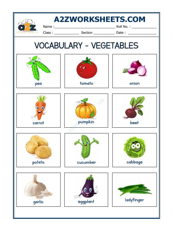 A2ZWorksheets:English-Reading-Vocabulary Worksheets-Vegetable