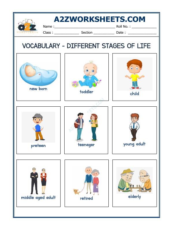 A2ZWorksheets:English-Reading-Vocabulary Worksheets - Different Stages Of Life