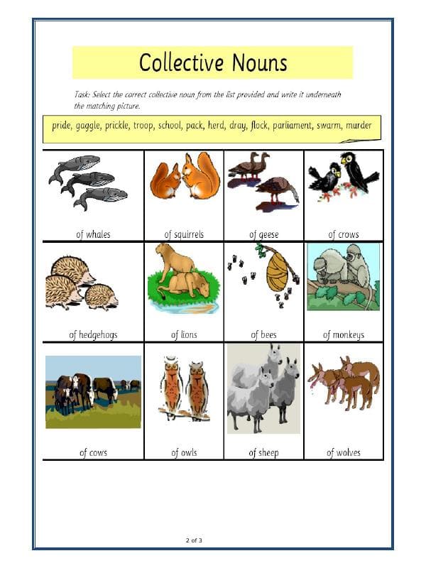 A2ZWorksheets:English-Grammar-Let's Practice Collective Nouns