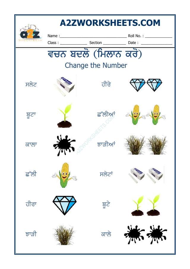A2ZWorksheets:Language-Punjabi-Punjabi Vachan Badlo-11