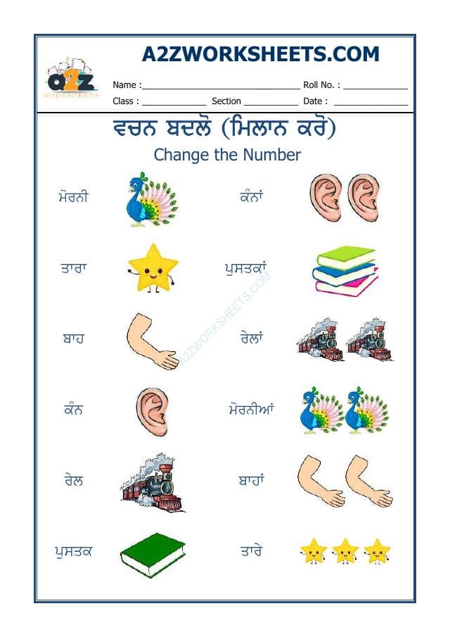 A2ZWorksheets:Language-Punjabi-Punjabi Vachan Badlo-13