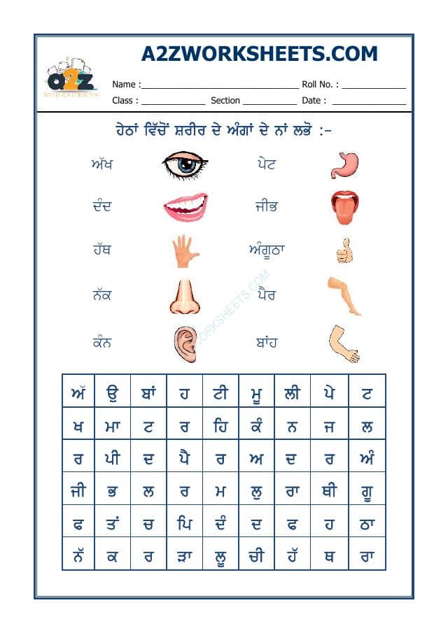 A2ZWorksheets:Language-Punjabi-Punjabi Word Search - Parts Of Body