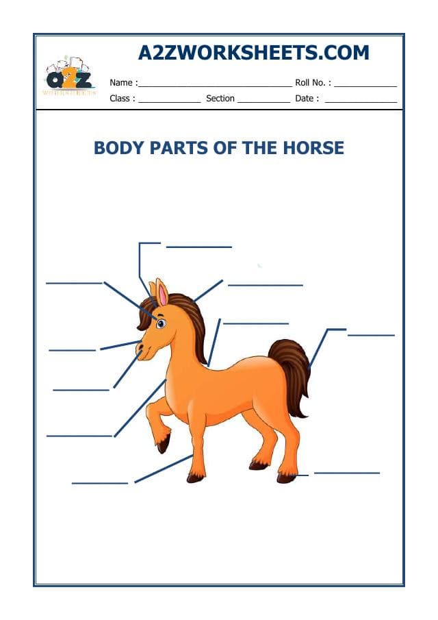 English-Vocabulary Worksheet-01