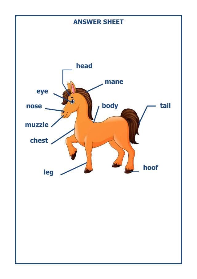 A2ZWorksheets:English-Reading-English-Vocabulary Worksheet-01