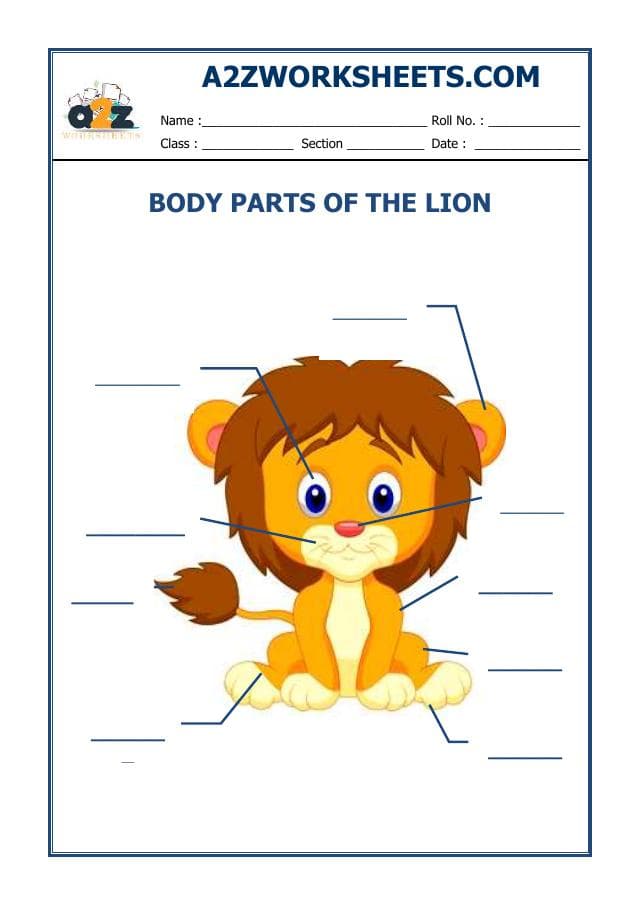 A2ZWorksheets:English-Reading-English-Vocabulary Worksheet-02