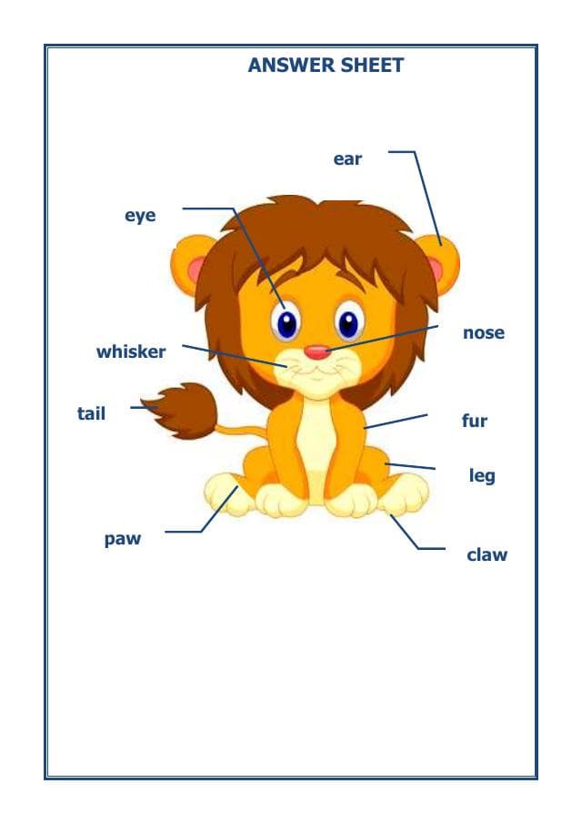 A2ZWorksheets:English-Reading-English-Vocabulary Worksheet-02