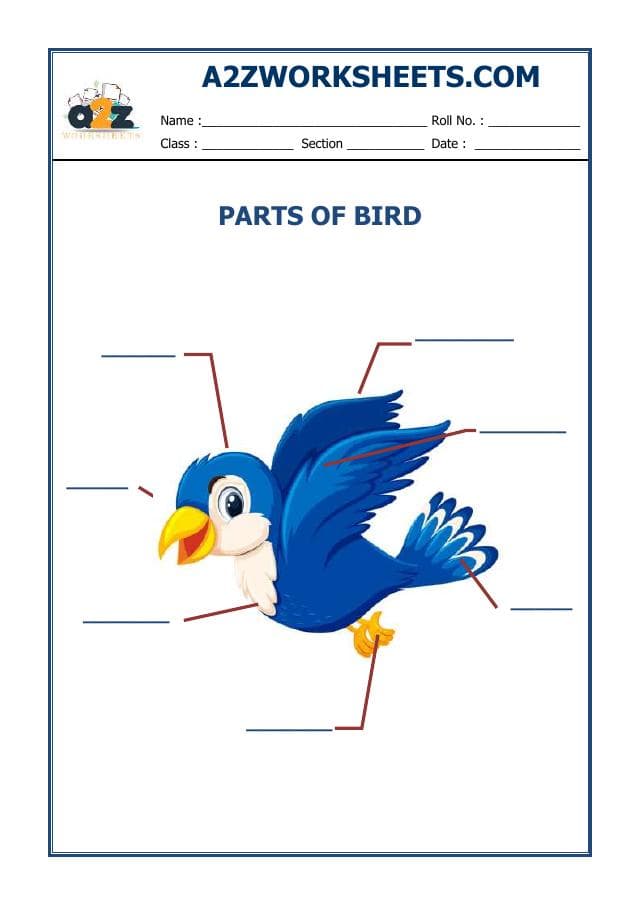 English-Vocabulary Worksheet-03