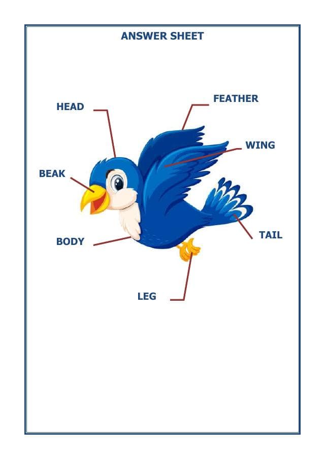 A2ZWorksheets:English-Reading-English-Vocabulary Worksheet-03