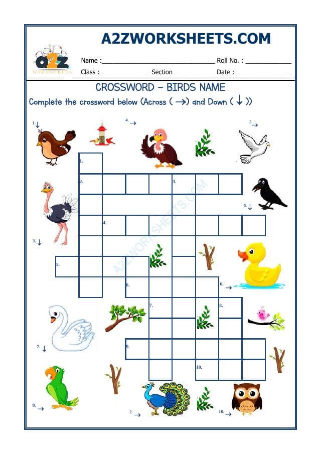 A2ZWorksheets:English-Reading-Cross Word -Birds Name