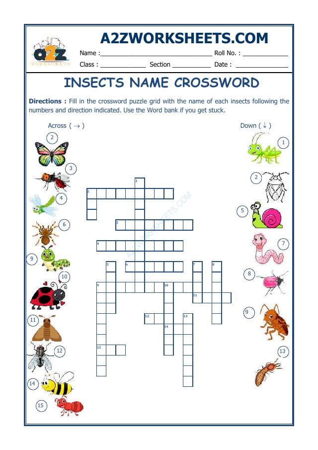 A2ZWorksheets:English-Reading-Crossword-Insects Name