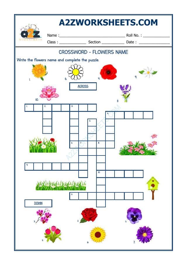 Crossword -Flowers Name