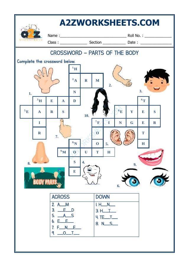 A2ZWorksheets:English-Reading-Crossword-Parts Of Body
