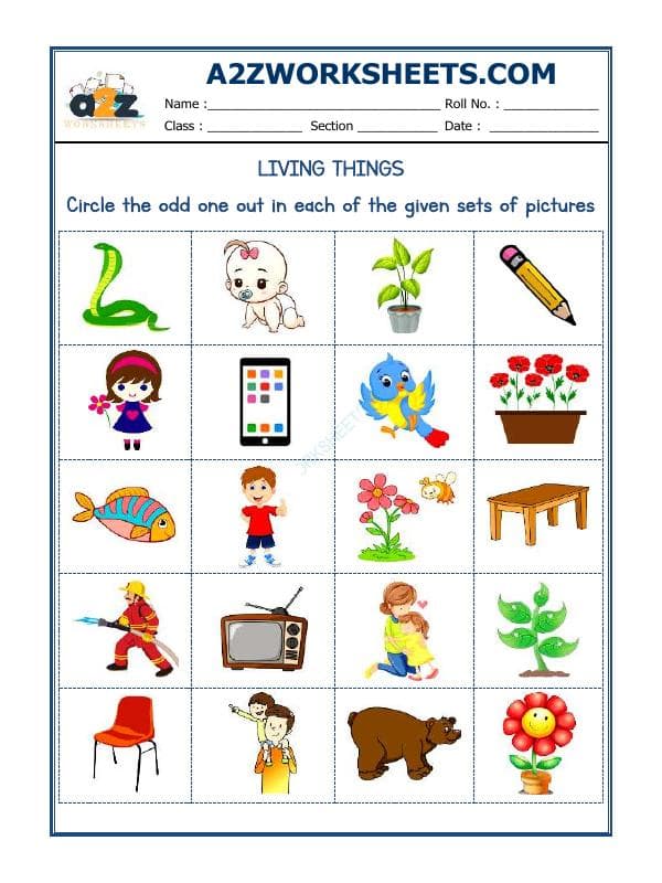 A2ZWorksheets:General Awareness-Logical Reasoning-Odd One Out-08